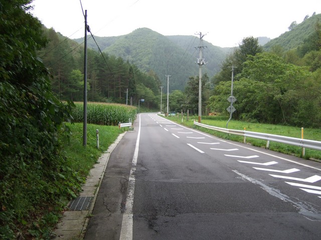 小雨の山道